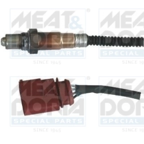 Oxygen Sensor